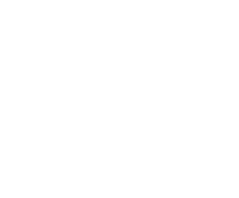 dialerking AI - dialerking