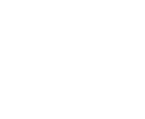 Predictive Dialer - dialerking
