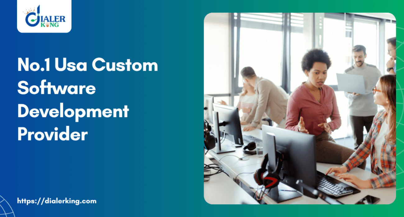 No.1 Usa Custom Software Development Provider